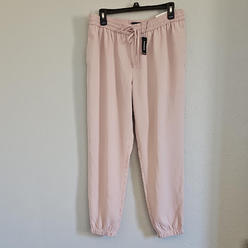 Express Blush Jogger Pants